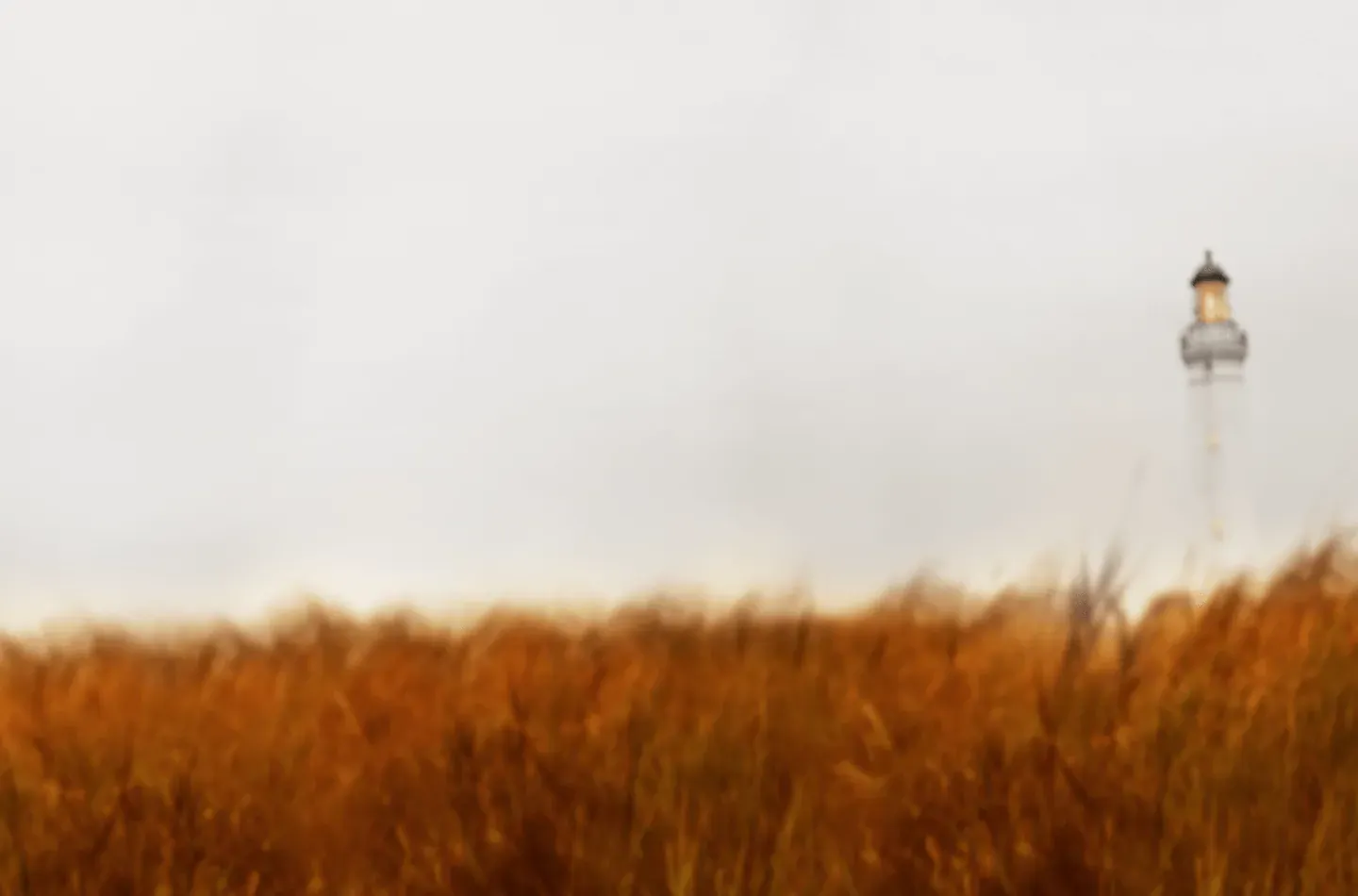 Wheat grass in front of a lighthouse in the mist