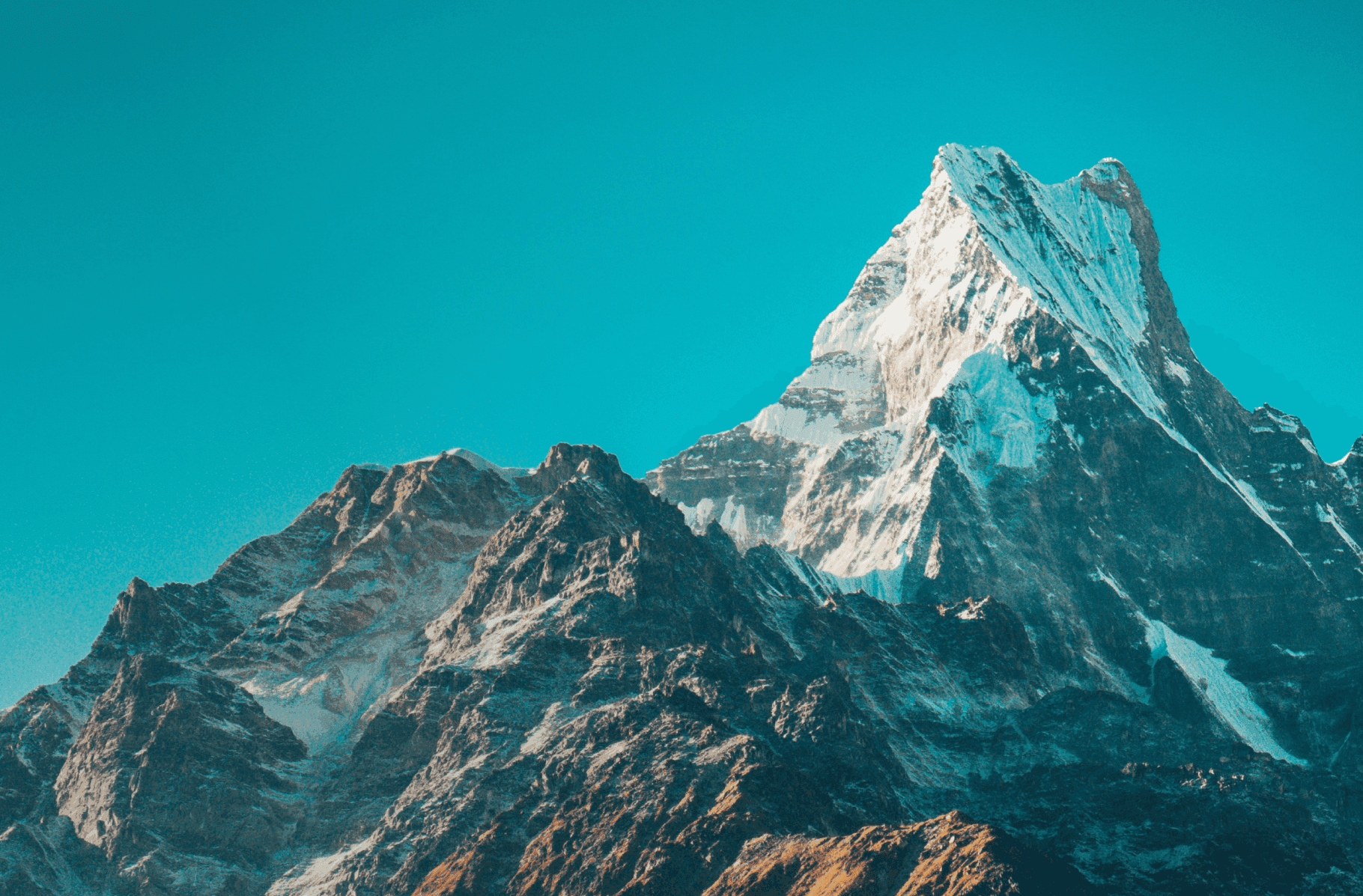 Why Hedge Funds with Peregrine Capital